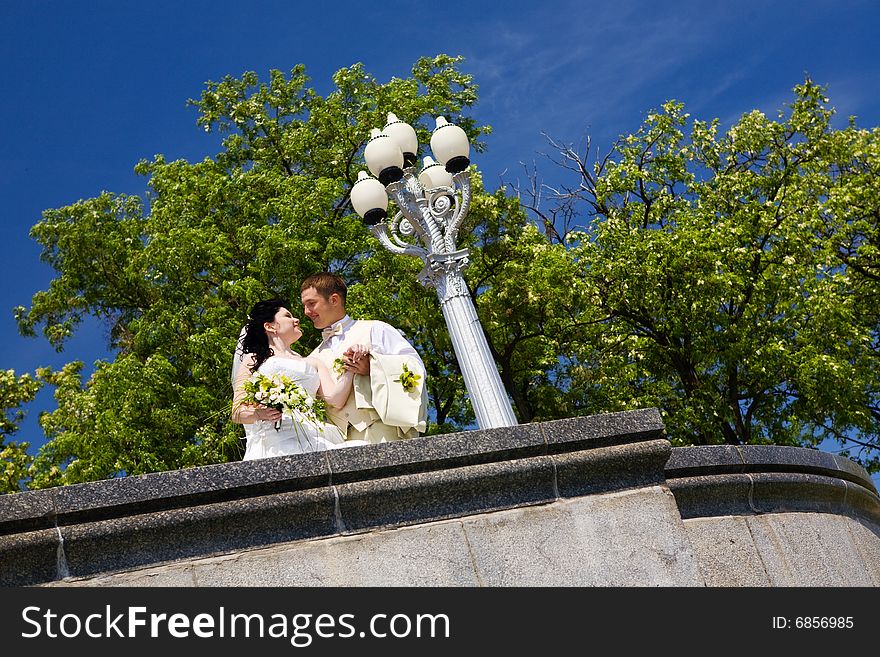 Bride and groom look one to another. Bride and groom look one to another