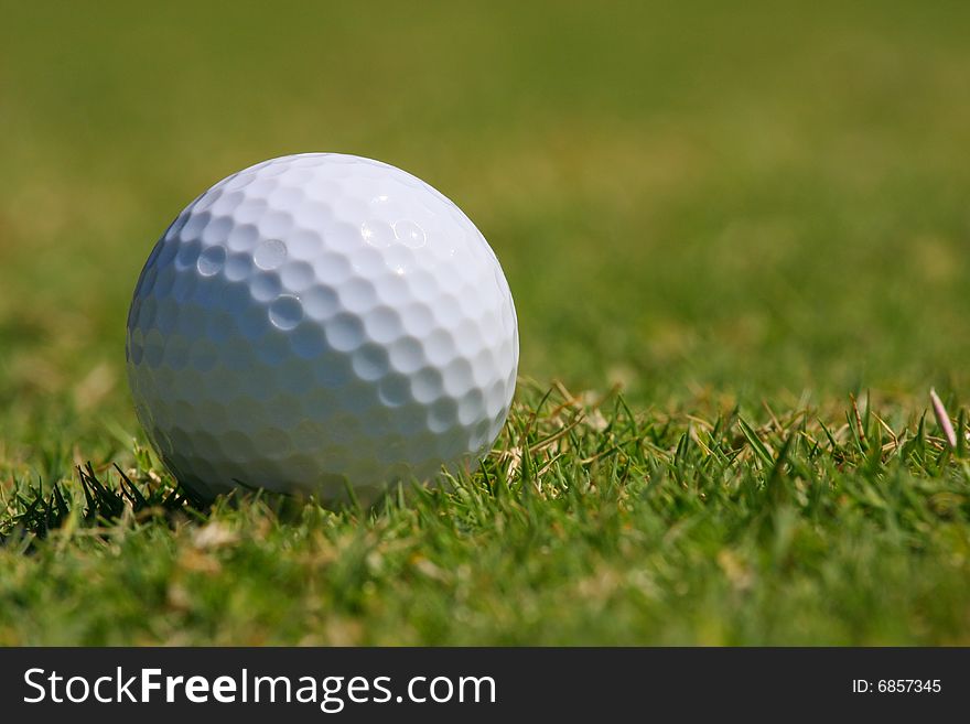 Close-up of a golf ball on the grass