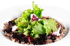 Breast Of Duck Salad Stock Photography
