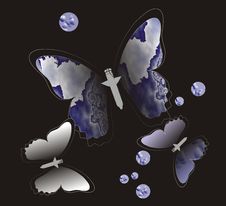 Beautiful Moths. Stock Photo