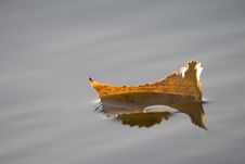 Colors Of Autumn Royalty Free Stock Photography Colors Of Autumn Royalty Free Stock Photography