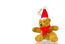Santa Bear Stock Images Santa Bear Stock Images