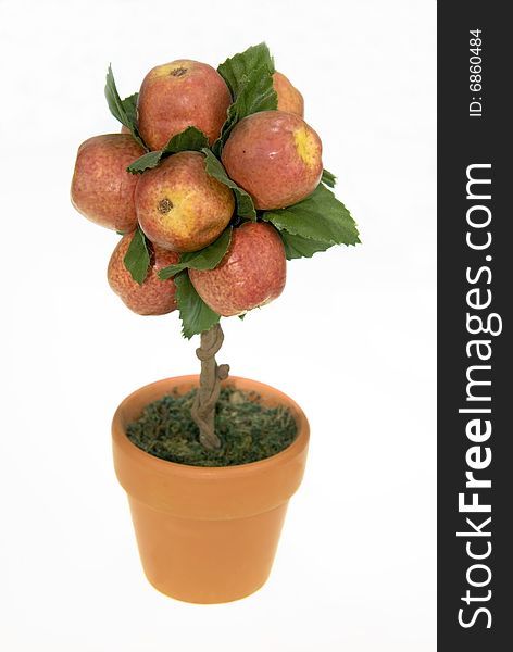 A Fake Apple Tree on a white Background.