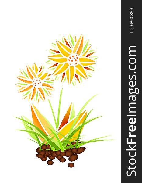 Beautiful flower on white. Vector icon