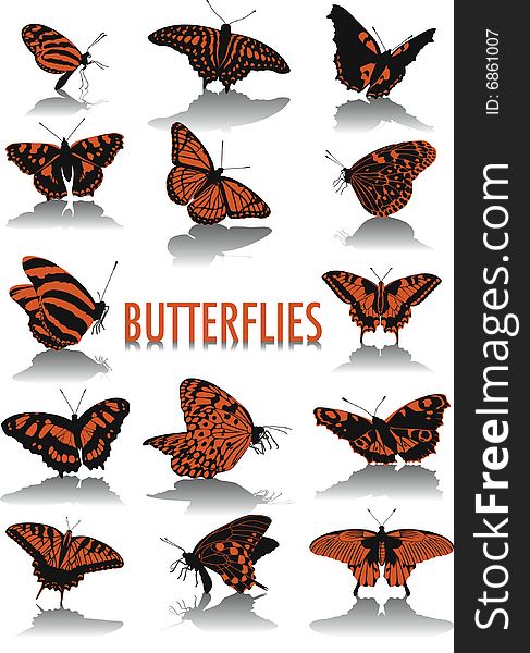 Two-tone silhouettes of butterflies, part of a new collection of subjects. Two-tone silhouettes of butterflies, part of a new collection of subjects