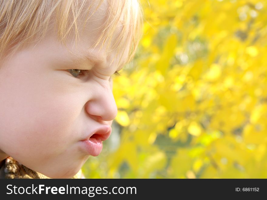 Portrait of emotional child on the background from yellow foliage