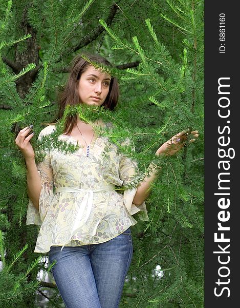 Attractive girl is between larch branches in a city park, vertical. Attractive girl is between larch branches in a city park, vertical