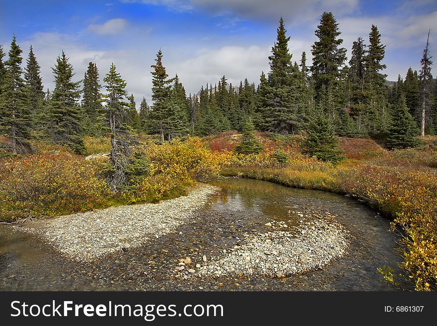 Shallow small river, shallows and multi-coloured autumn grasses on coast. Shallow small river, shallows and multi-coloured autumn grasses on coast