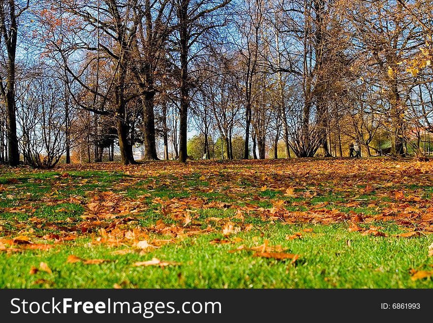 Park in the autumn, it is taken off from the bottom point, the foreground is washed away for prospect. Park in the autumn, it is taken off from the bottom point, the foreground is washed away for prospect