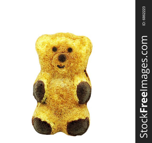 Chocolate fruitcake on  white background (bear)