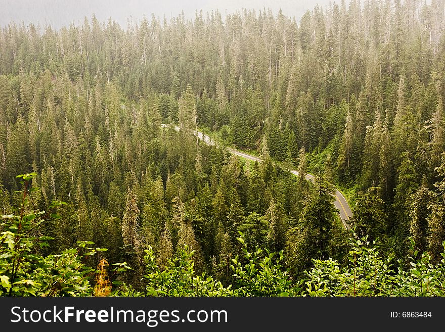 A mountain road winding through the fir trees. A mountain road winding through the fir trees