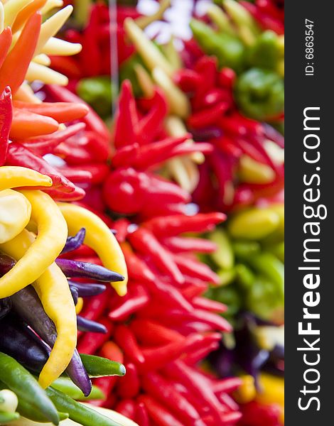 Many types of yellow and red peppers hanging in a market. Many types of yellow and red peppers hanging in a market