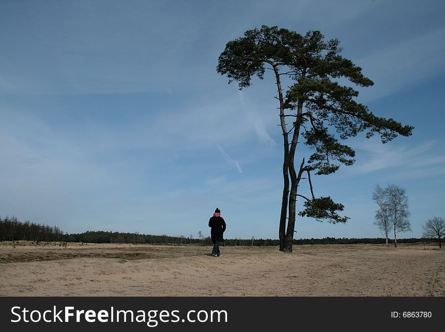 Girl walking towards a tree on a sand drift in the North of Holland. Girl walking towards a tree on a sand drift in the North of Holland