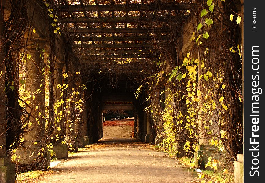 Wine passage in the Wroclaw park