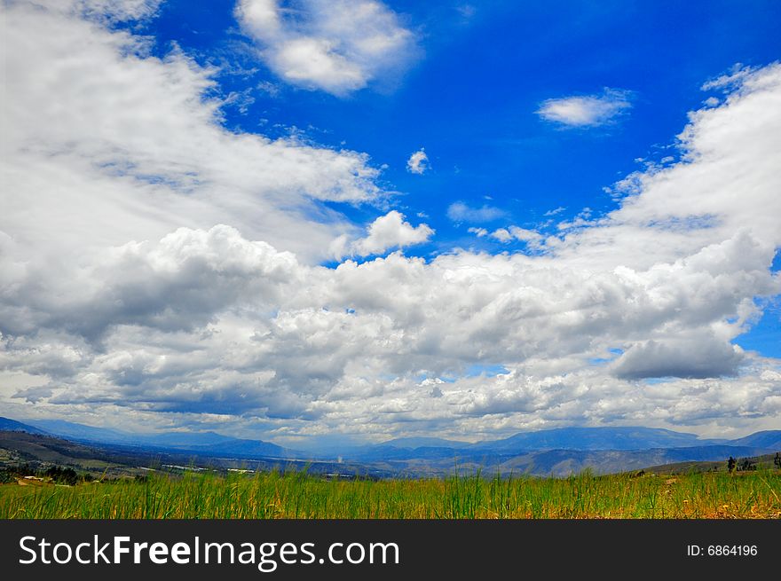 Beautiful meadow and sky