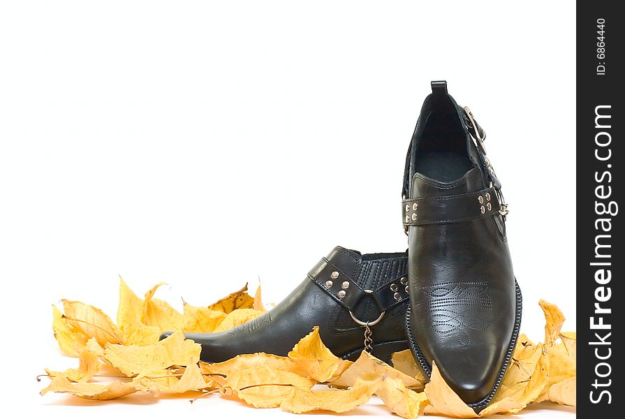 Mens shoes and fall leafs