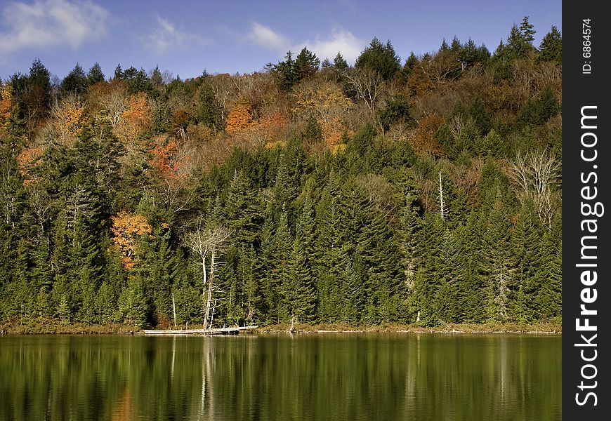 Colorful foliage around the lake. Colorful foliage around the lake