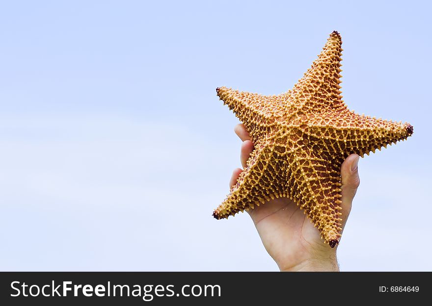 Hand holding starfish in the sky