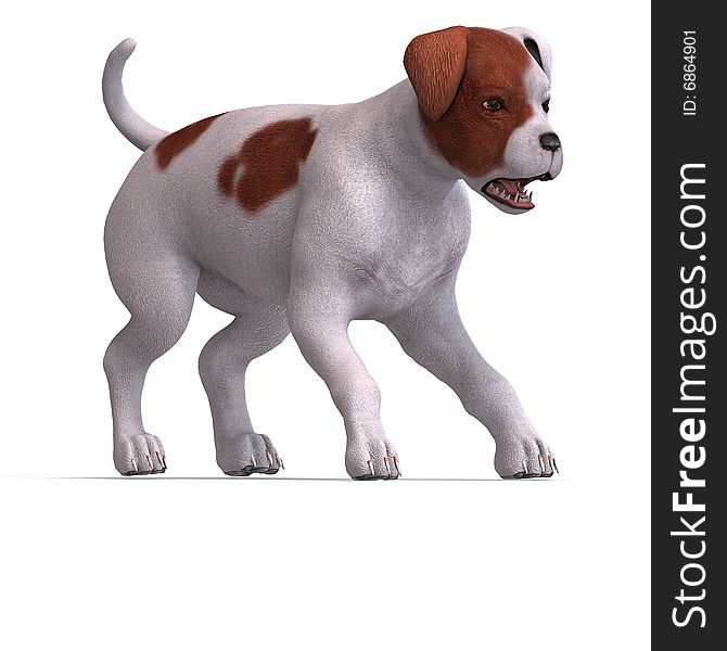 Very cute young dog over white with Clipping Path. Very cute young dog over white with Clipping Path