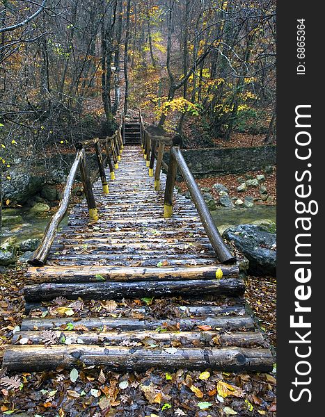 The bridge from logs through the river in the Grand Canyon of Crimea