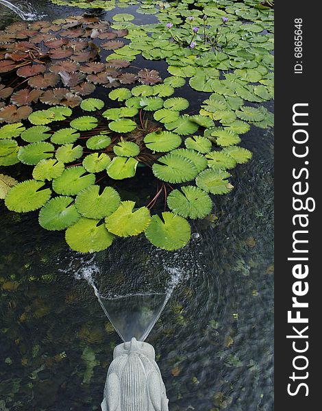 Pond in chinese temple, Hongkong