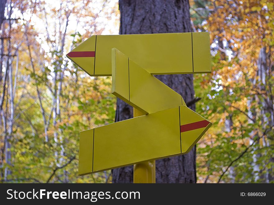 Three yellow signs in the forest. Shallow DOF. Three yellow signs in the forest. Shallow DOF