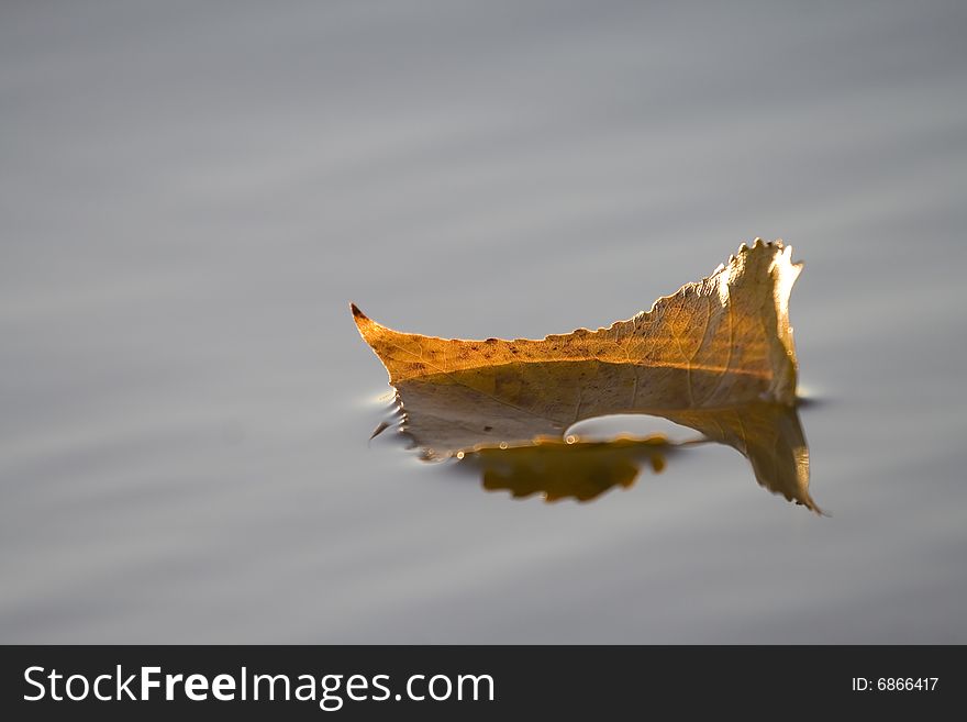 Colors Of Autumn