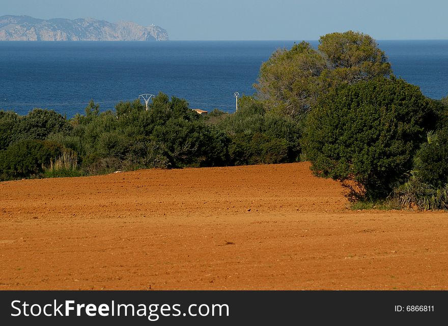 Field with a red earth in a bay in Majorca in Spain