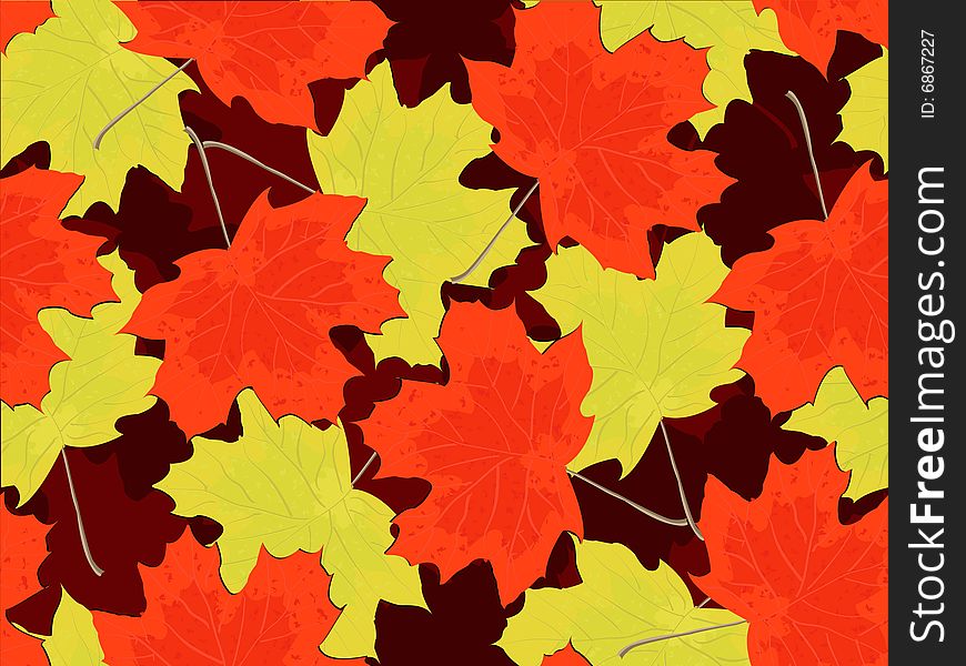 Seamless pattern - autumn falling maple leaves in a vector