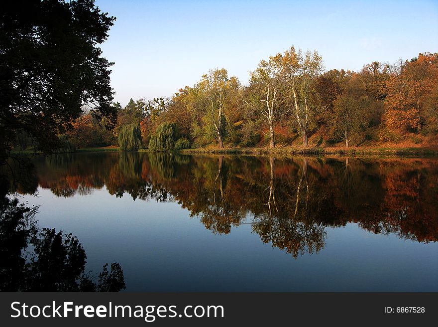 Autumn tree in the forest near water. Autumn tree in the forest near water