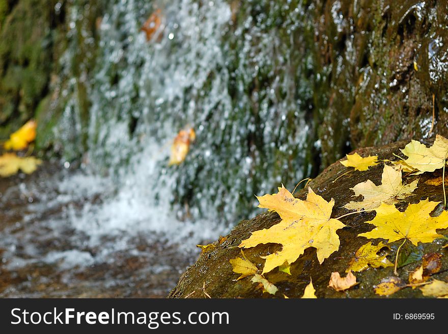 Yellow autumn leaves on a background a waterfall