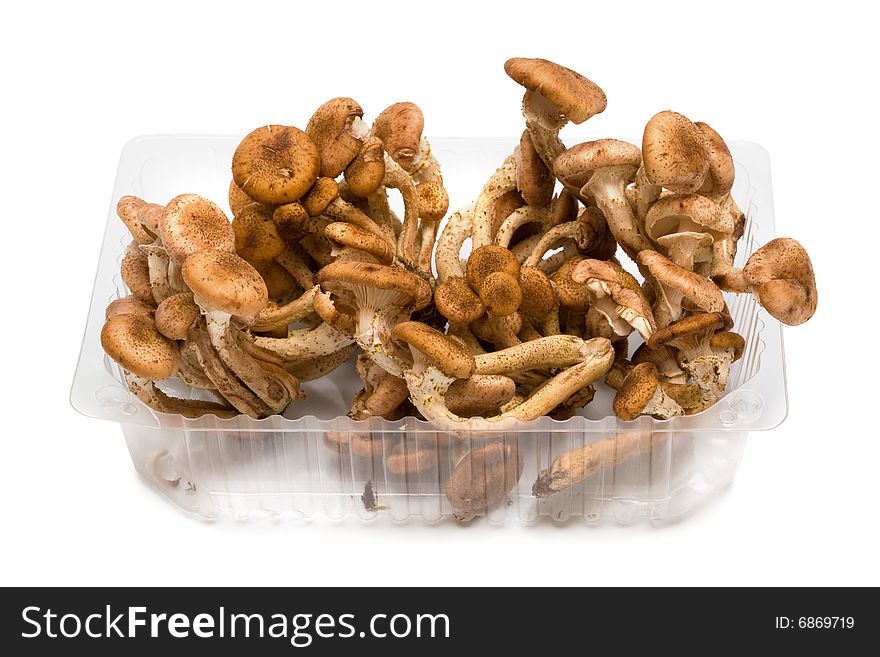 Mushrooms in a plastic box on a white background