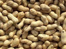 Peanuts Stock Image Peanuts Stock Image