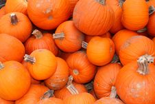 Pumpkins For Sale Royalty Free Stock Image