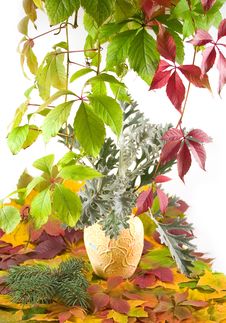 Autumn Bouquet In Yellow Vase Royalty Free Stock Photo Autumn Bouquet In Yellow Vase Royalty Free Stock Photo