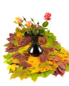 Autumn Roses Black Vase Royalty Free Stock Images