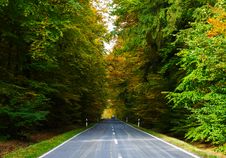 Road In Autumn Royalty Free Stock Photography