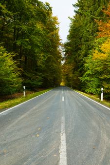 Road In Autumn Royalty Free Stock Image