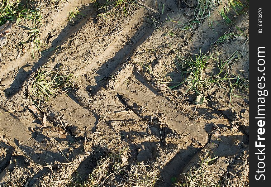 Trace of wheels like metaphor about changes on planet Earth by the civilization. Trace of wheels like metaphor about changes on planet Earth by the civilization.