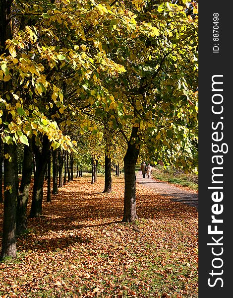 Two old people walking through the park during sunny autumn, colour fallen leaves on the ground. Two old people walking through the park during sunny autumn, colour fallen leaves on the ground