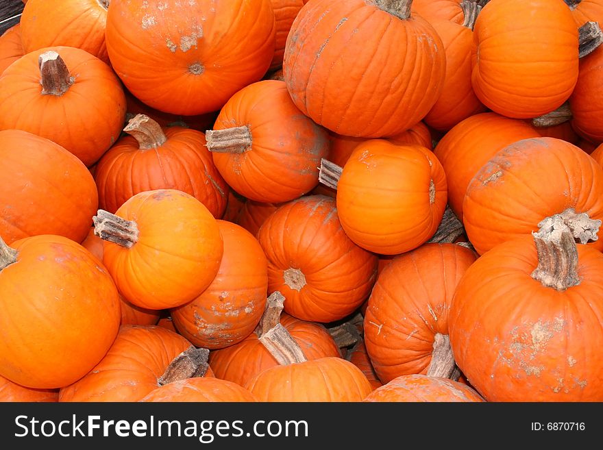 A Pile of Pumpkins is Ready for Sale. A Pile of Pumpkins is Ready for Sale.