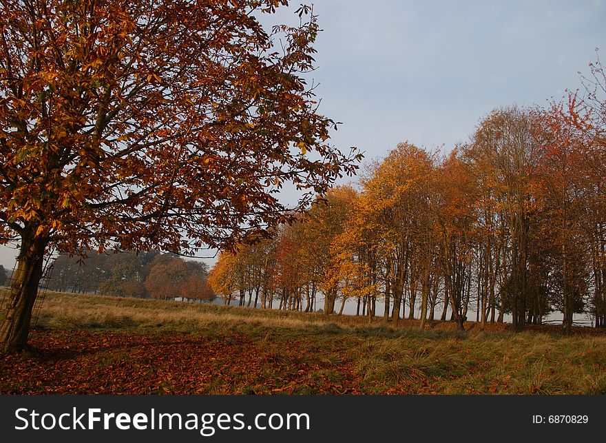 Autumn day in Tatton Park