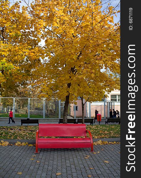 Red bench in autumn park