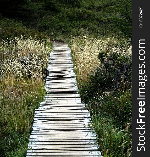 A footbridge leads across wetlands into the French Valley of Torres del Paine National Park in Chile. A footbridge leads across wetlands into the French Valley of Torres del Paine National Park in Chile.