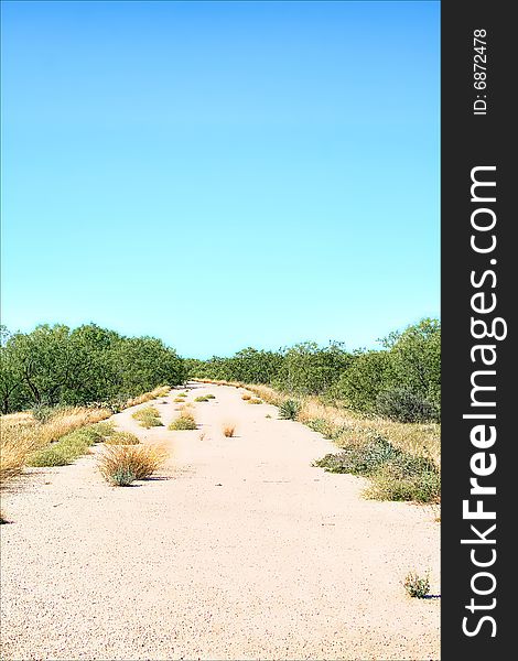 A common Texas path landscape.