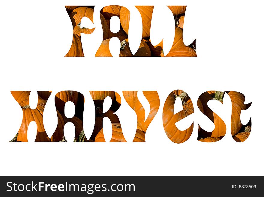 The words fall harvest written in pumpkins.