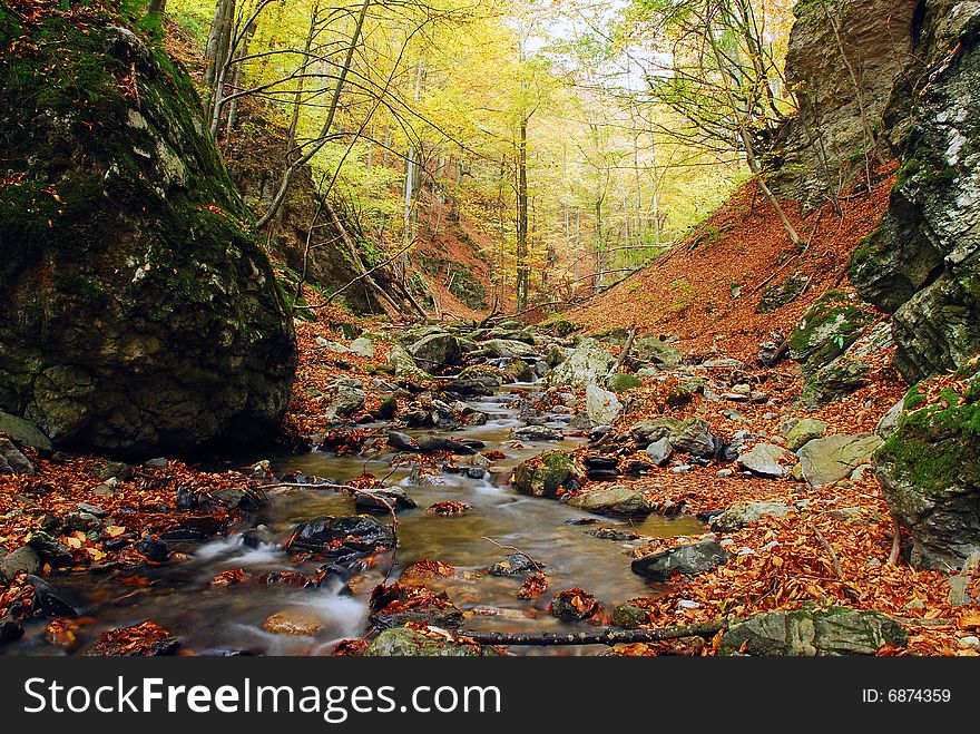 Autumn scene on Cerna Valley, southern Romania