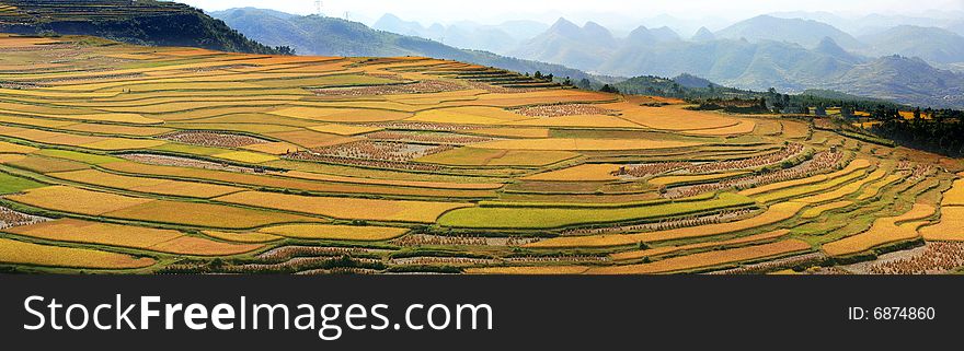View of the Guizhou mountain in the autumn. View of the Guizhou mountain in the autumn