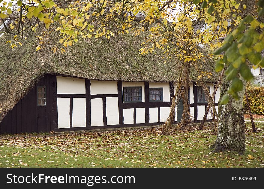 Half-Timbered House with thatched roof in autumn