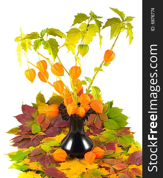 Flowers with fruits in black vase